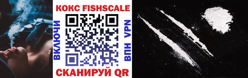 цена   Бирюсинск  Cocaine FishScale 