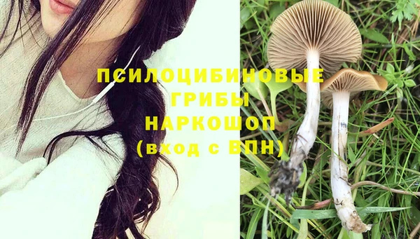 PSILOCYBIN Вяземский